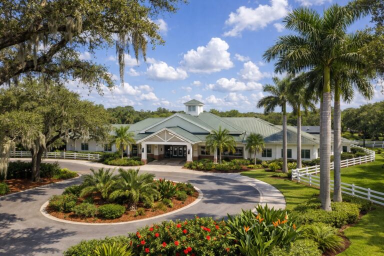 Davie Town Council Meeting Recap: February 4, 2026 | Key Decisions and Updates — Davie Florida aerial photo with palm and oak canopy 2026