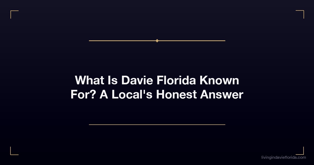 what is davie florida known for a locals honest answer
