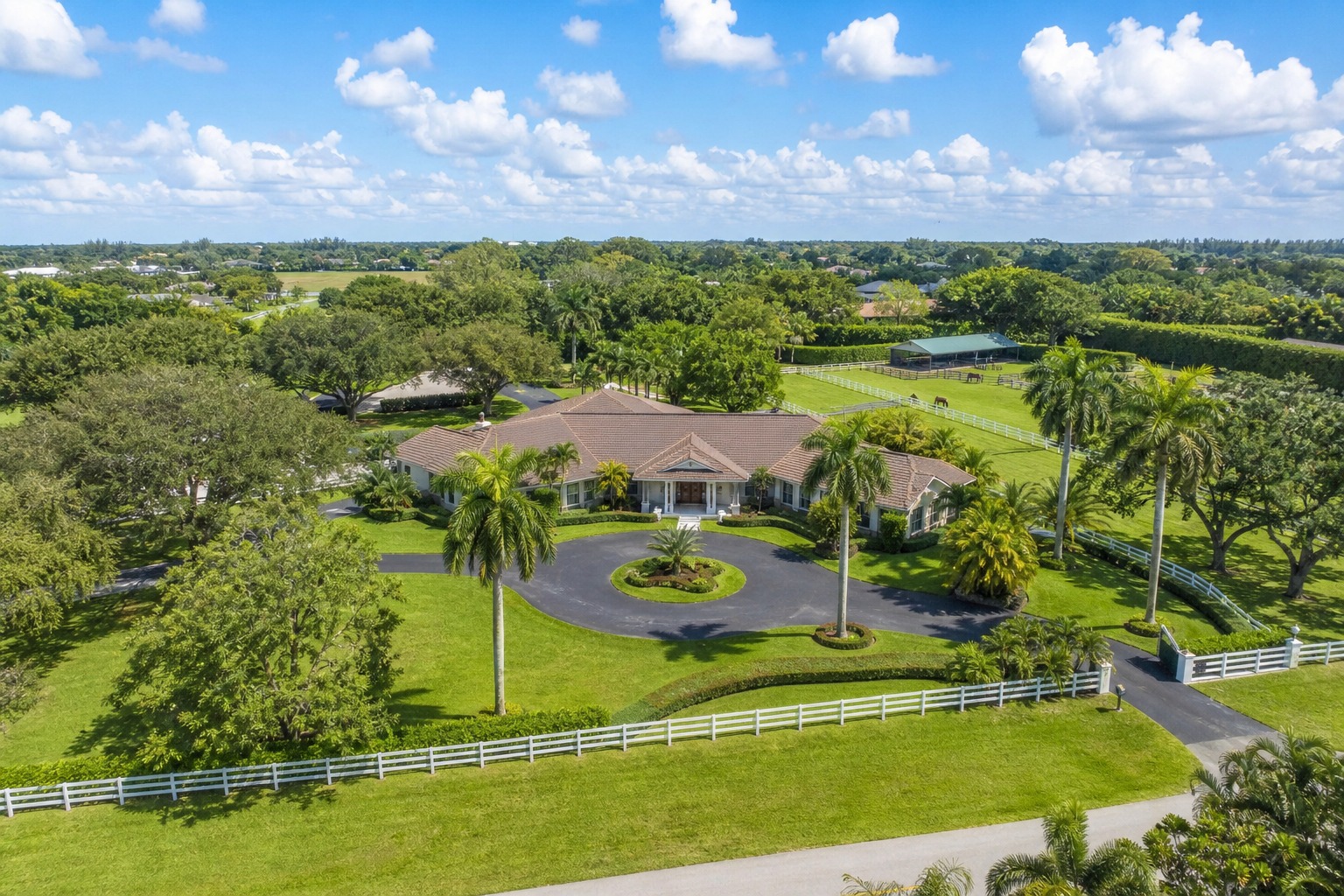 Can You Have Chickens in Davie, Florida? Code and HOA Rules